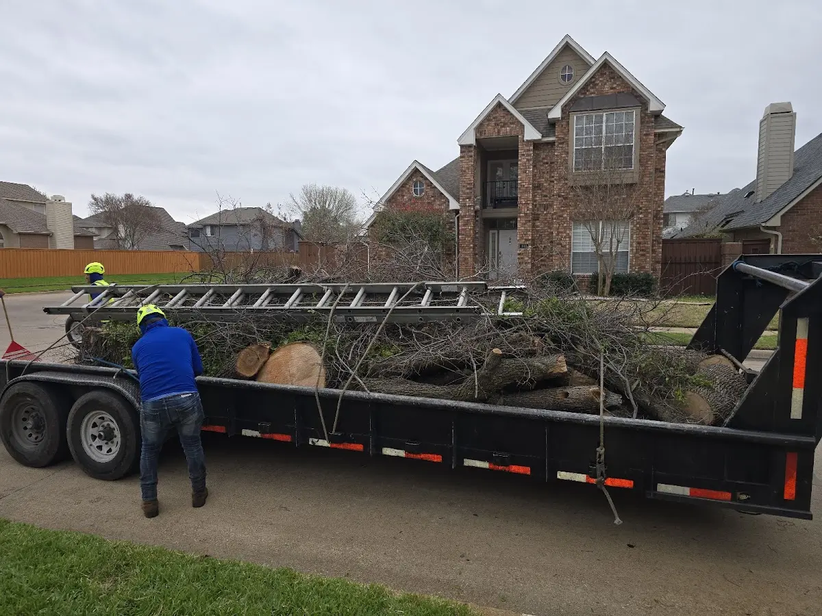Expert Tree Pest Control with proper safety equipment in Wiconisco